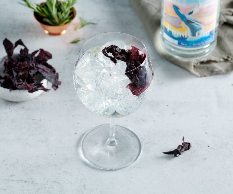 A wine glass with ice and dulse near a bowl of dulse and a Fundy Gin bottle.