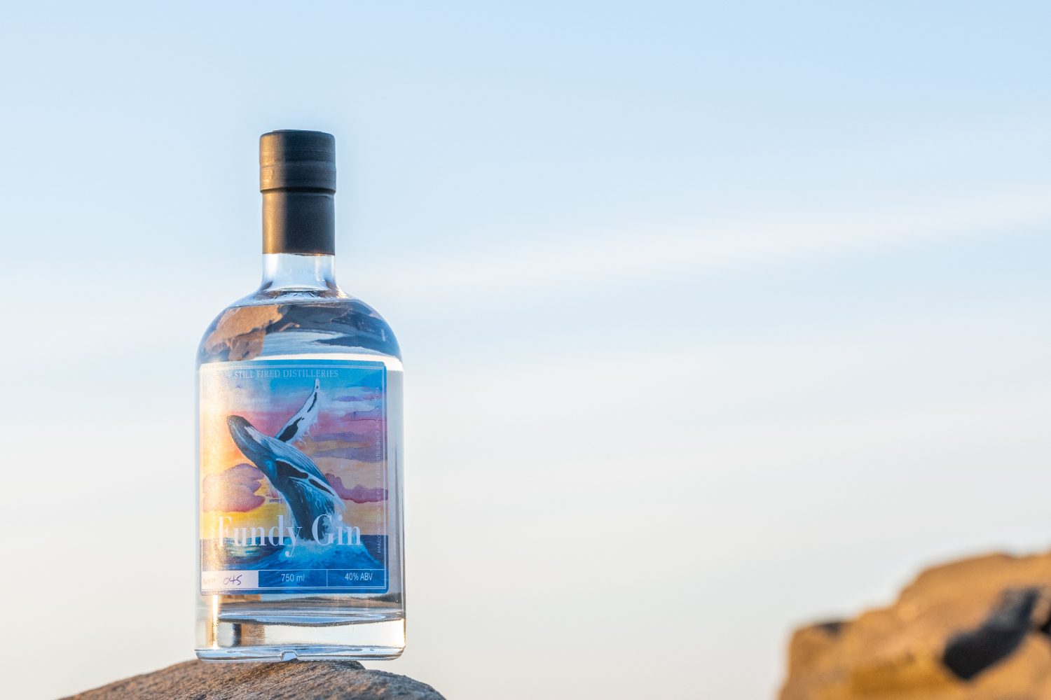 A Fundy Gin bottle on a rock against the sky.
