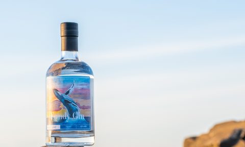 A Fundy Gin bottle on a rock against the sky.
