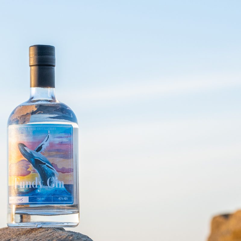 A Fundy Gin bottle on a rock against the sky.