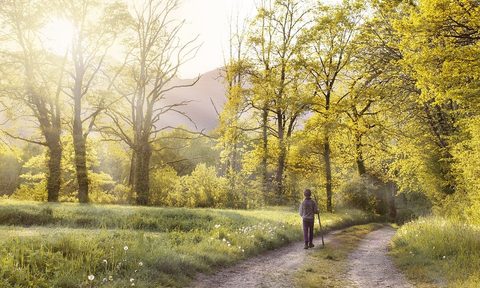 A person hiking