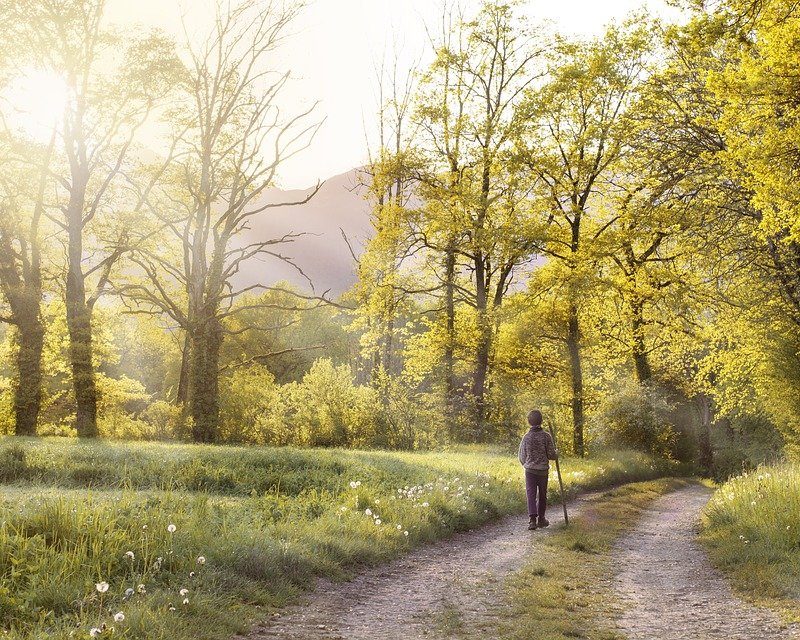A person hiking