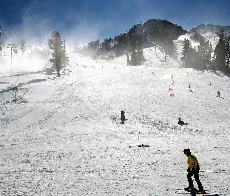 Skiers and snowboarders on slopes.