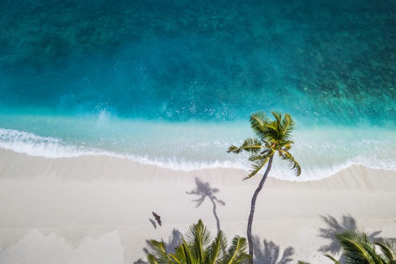 Tropical beach image.