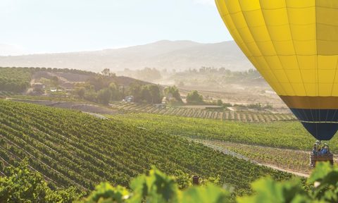 The Temecula wine country and a yellow hot air balloon.