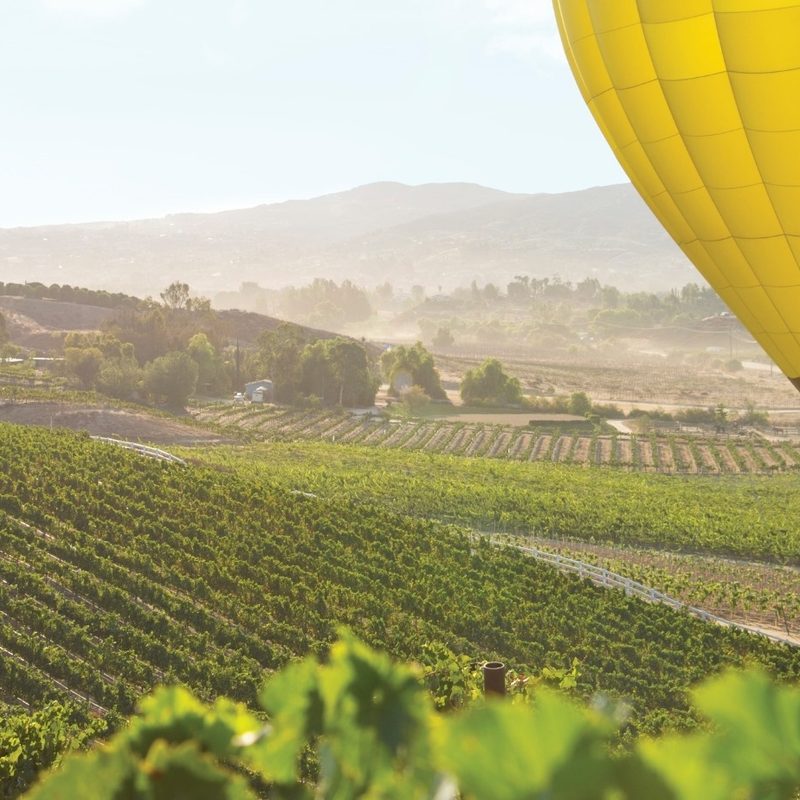 The Temecula wine country and a yellow hot air balloon.