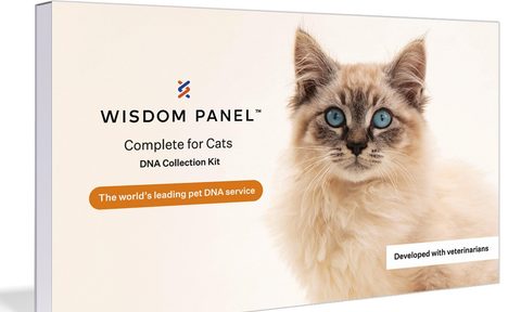 The box for Wisdom Panel's Complete Health and Ancestry Cat DNA Test.
