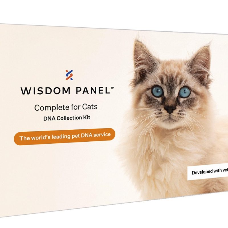 The box for Wisdom Panel's Complete Health and Ancestry Cat DNA Test.