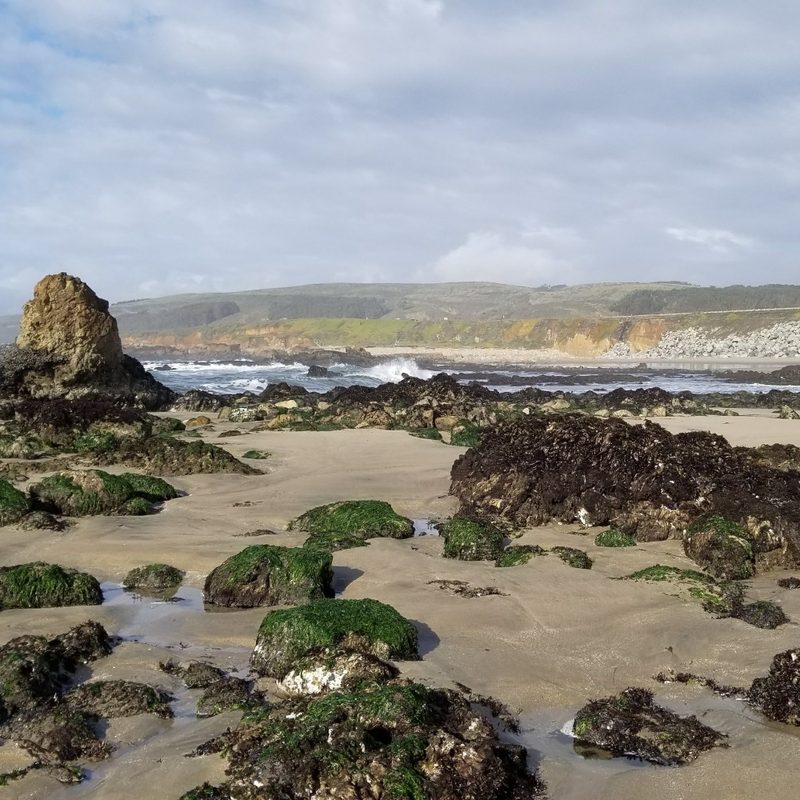 The beach at Pescadero State Beach in Pescadero, California.