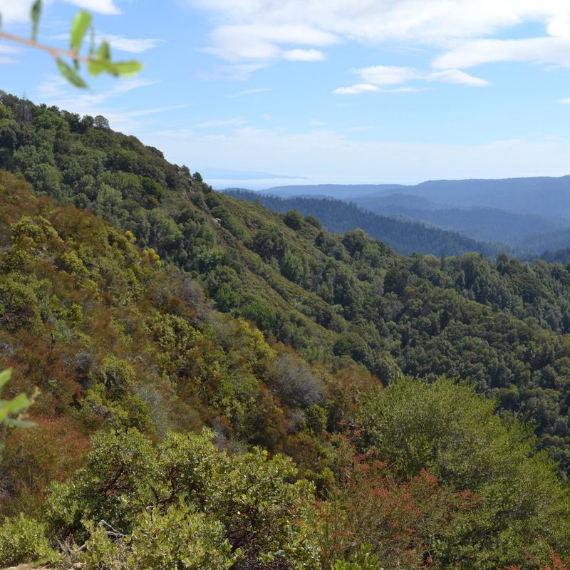 A view of Monterey Bay from Castle Rock State Park in Northern California.