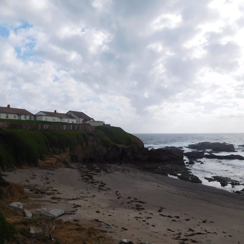 The beach by Pigeon Point Lighthouse in Pescadero, California.