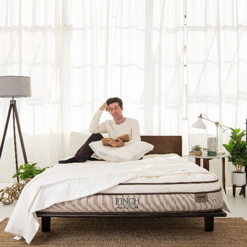 Man reading on a Finch mattress in a bedroom with lamp, potted plants, bedside table, and mirror.