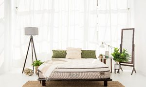 A Finch mattress on a bedframe beside a lamp, bedside table, potted plants, and mirror.