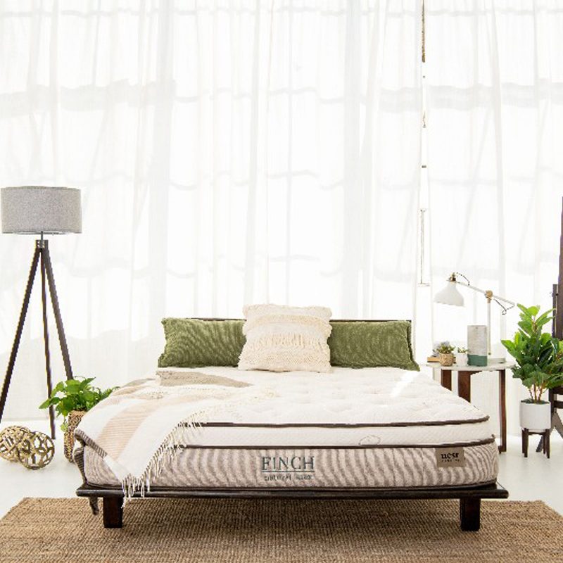 A Finch mattress on a bedframe beside a lamp, bedside table, potted plants, and mirror.
