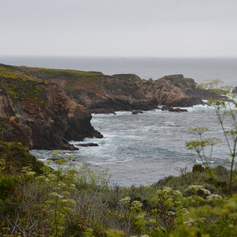 A view of Soberanes Point at Garrapata State Park near Carmel, California.