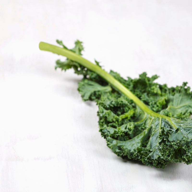 A fresh kale leaf on marble table.