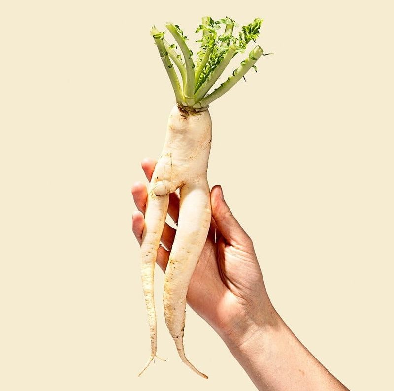 person holding a radish on a yellow background.