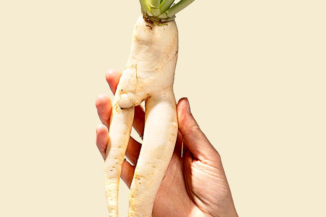 ugly produce misfits market radish