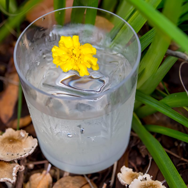 A glass of Neroli cocktail with yellow flower on soil and grass