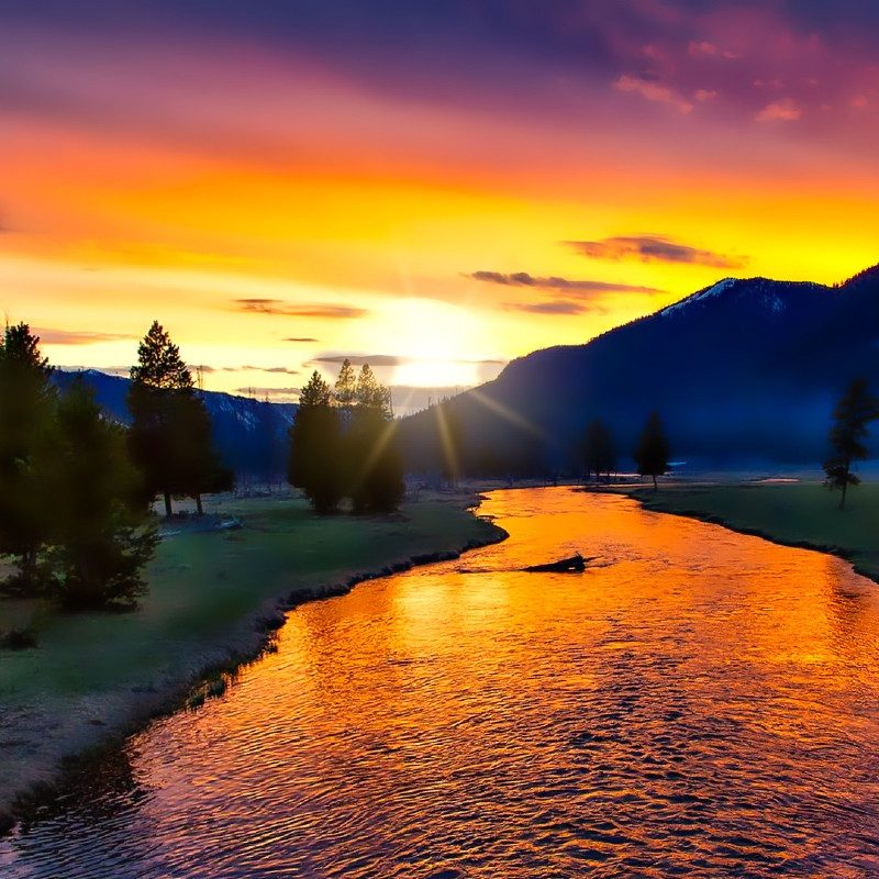 Yellowstone National Park at sunset.
