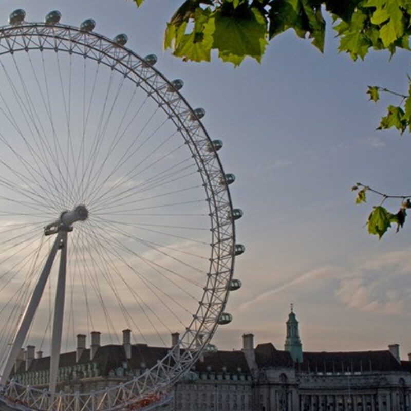 The London Eye.