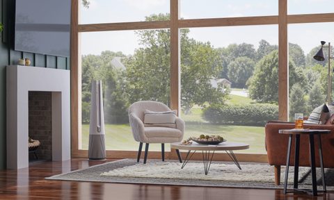 LG PuriCare AeroTower air purifier in living room.