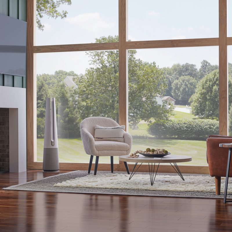 LG PuriCare AeroTower air purifier in living room.