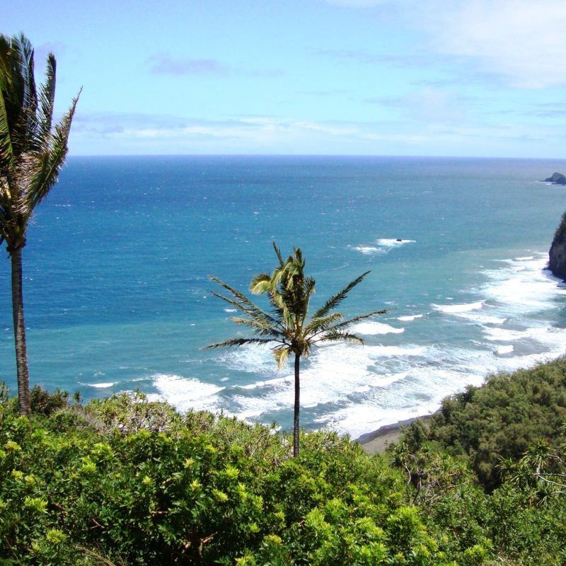 A view of the beach in Pololū Valley, Hawaii.