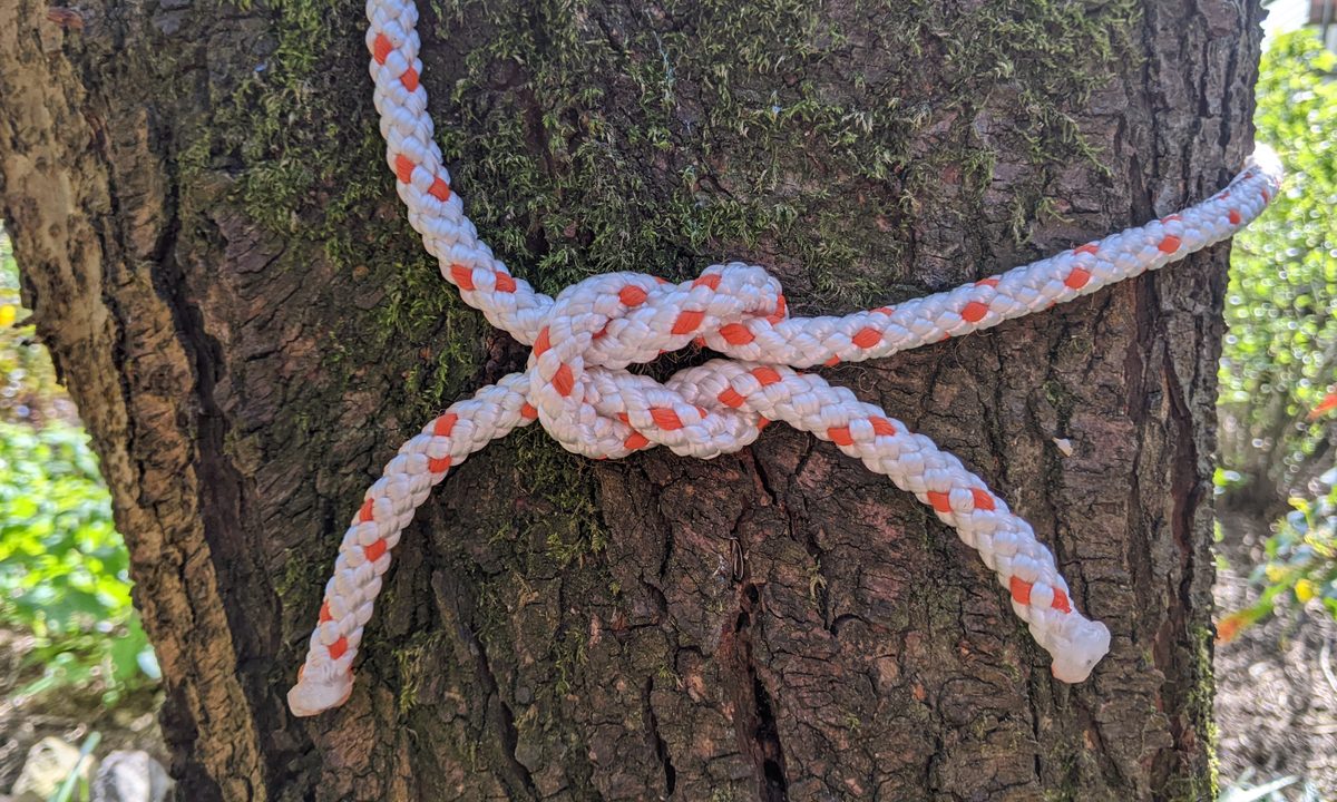 A reef knot is tied against a tree