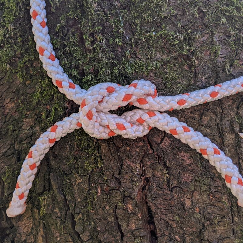 A reef knot is tied against a tree