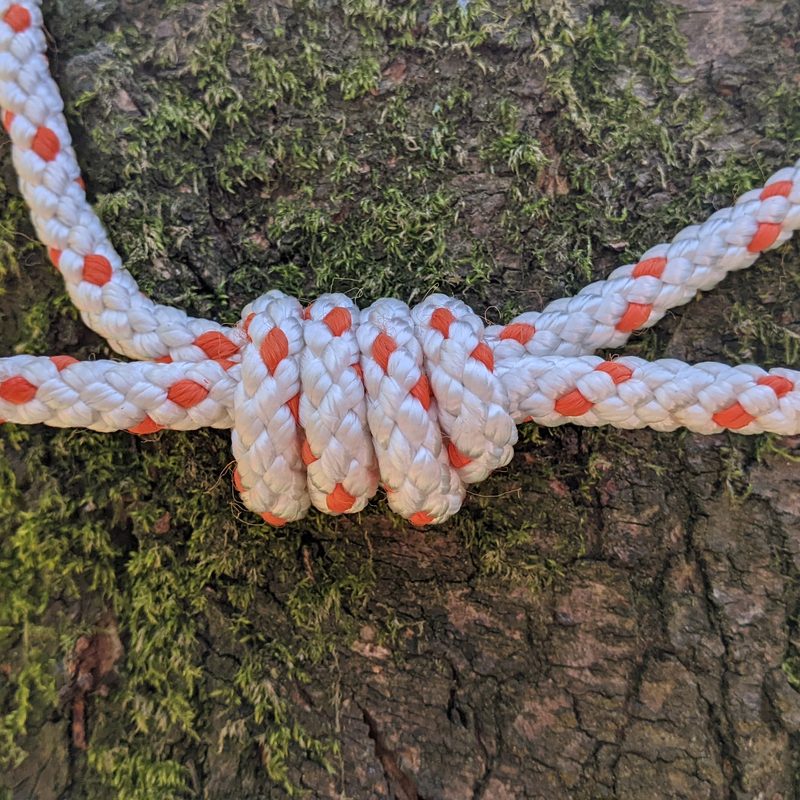 A double fisherman's knot around a tree.