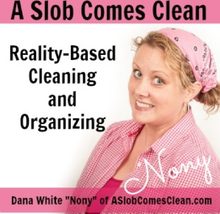 A Slob Comes Clean