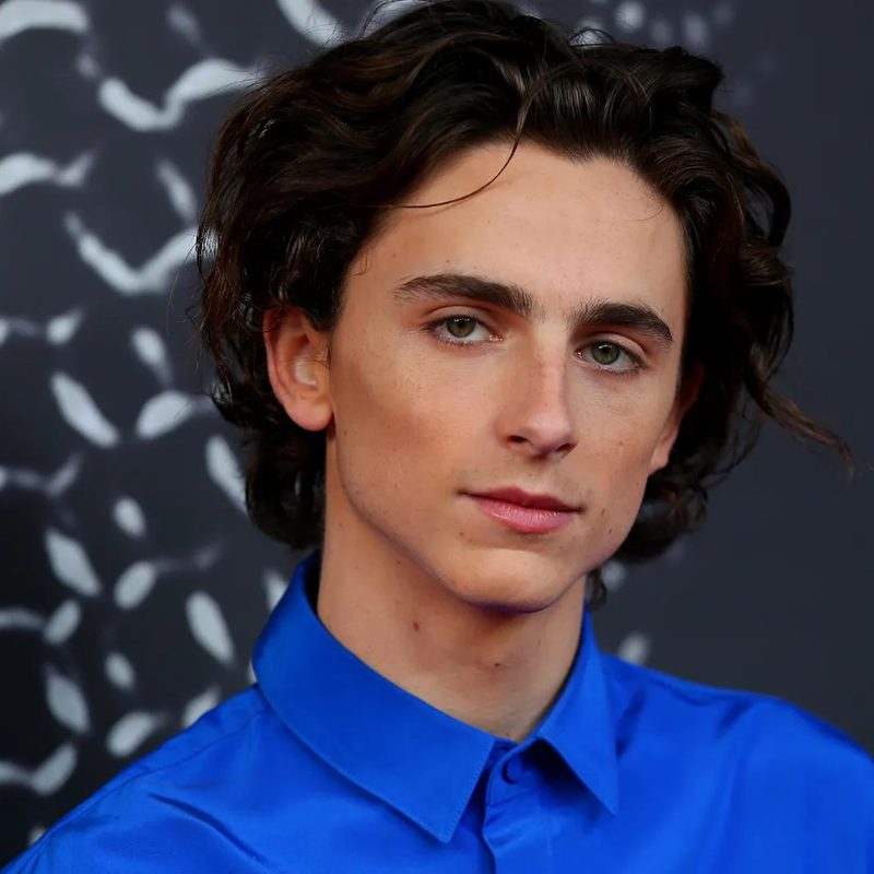 Timothy Chalamet with curly hair
