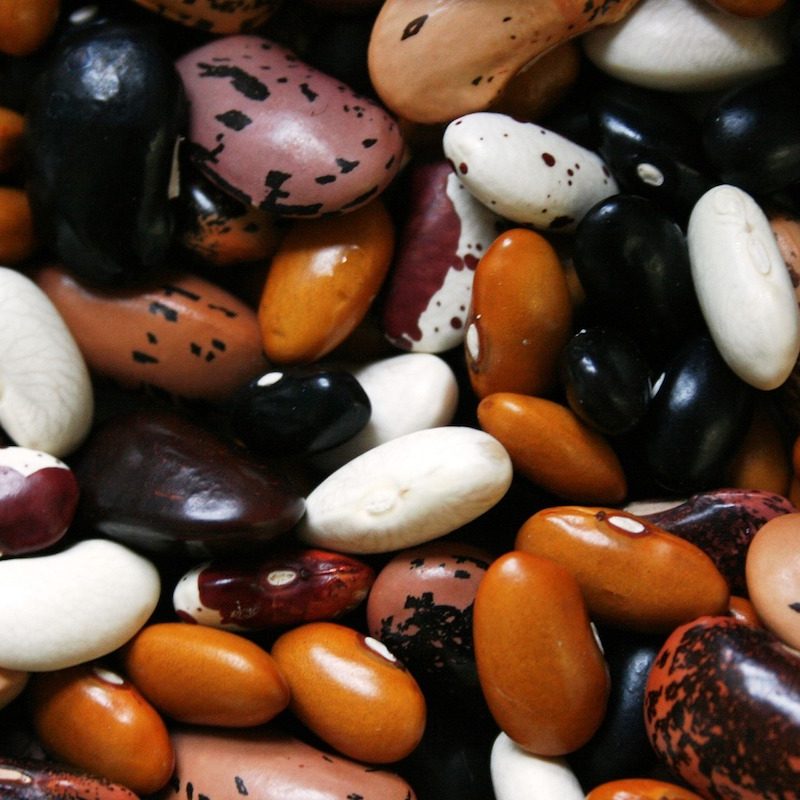 Dried beans