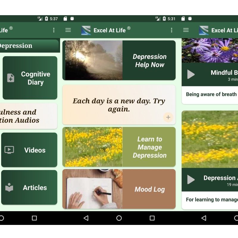The Depression CBT Self-Help Guide app pages.