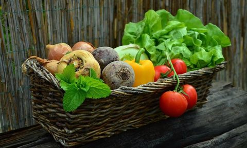 Foods highest in folate.