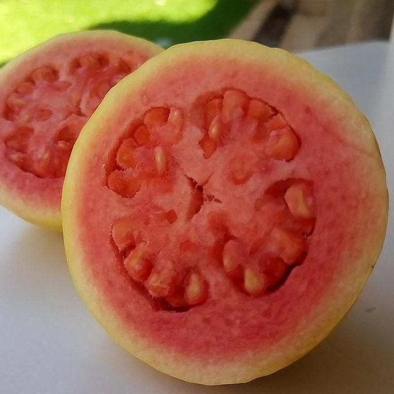 Sliced fresh guava