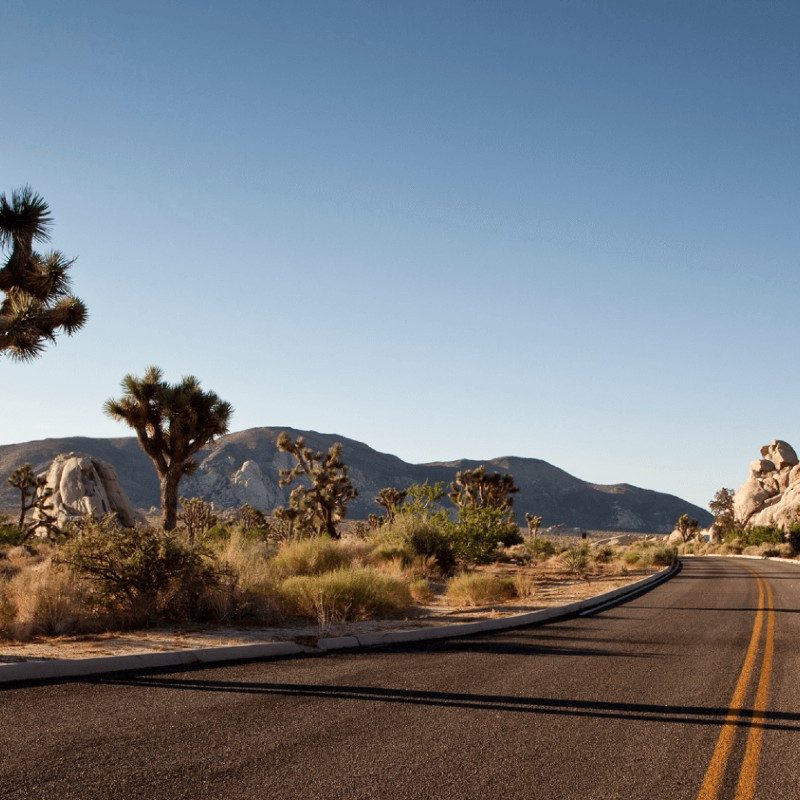 An open road in Joshua Tree National Park symbolizing the Happify app's road to happiness.