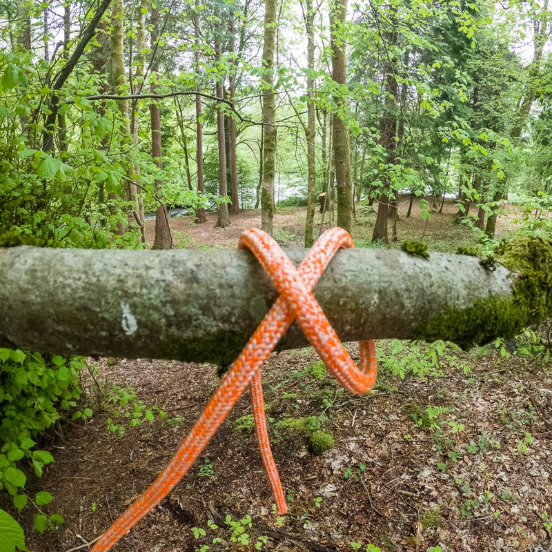 Rope crossed over itself on a branch as part of tying a clove hitch