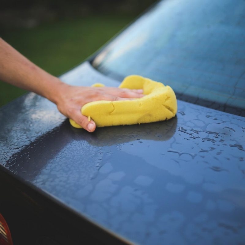 Car owner drying off trunk lid on Honda Civic after washing the car in a grassy field.