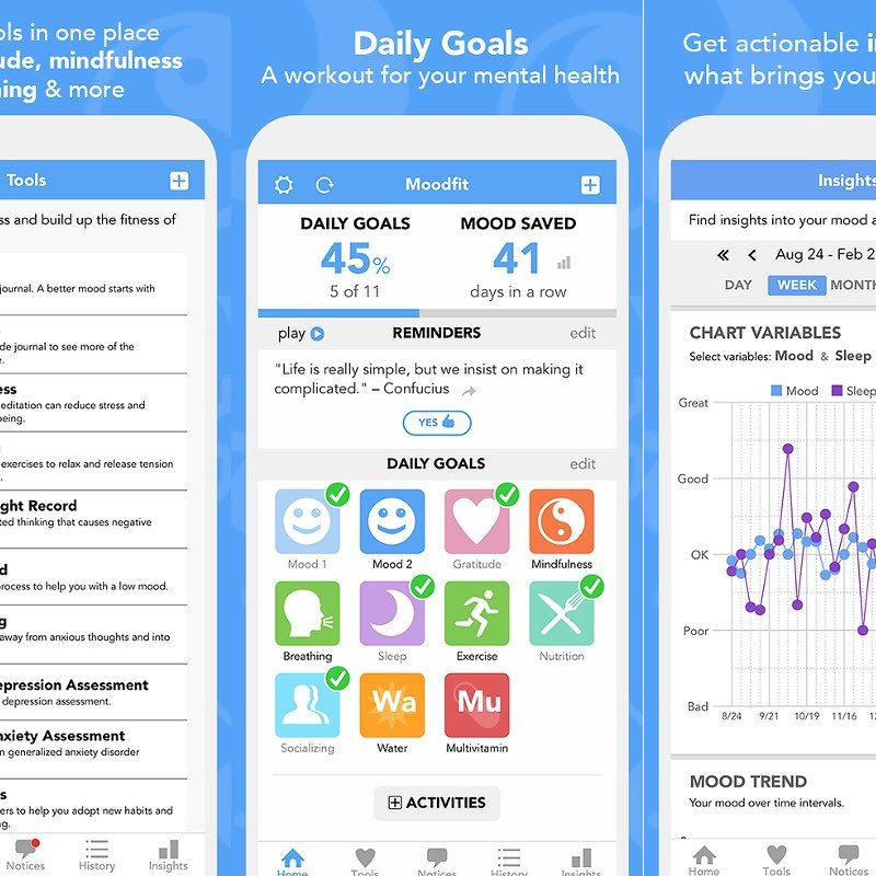 Moodfit app's user pages.