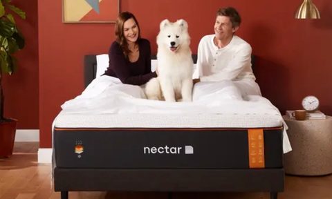 couple with dog on a nectar mattress in a rustic bedroom.