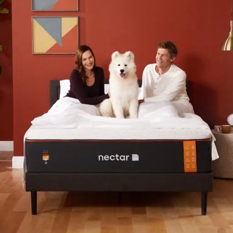 Couple with dog sit on a nectar mattress in a rustic bedroom.