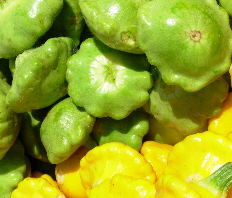 Pattypan squash in a basket at the market
