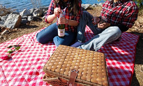 On a picnic date