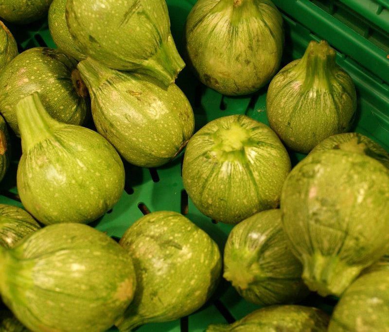 Round zucchini in a basket