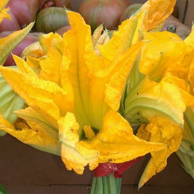 Squash blossom bundles