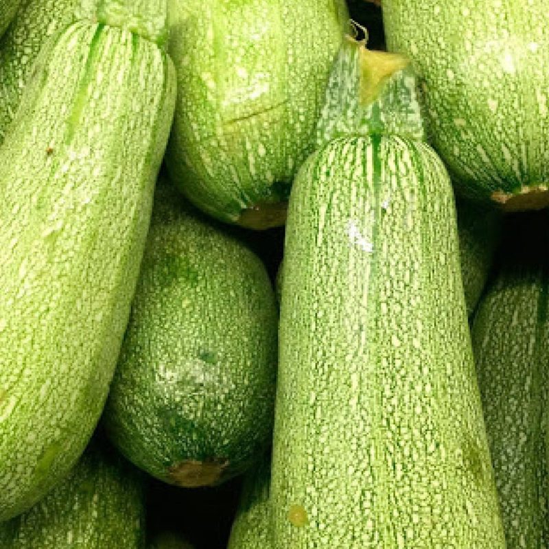 Tatume squash