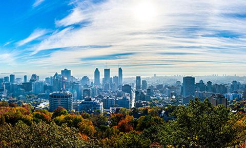 An urban panorama with forest in the foreground and cityscape in the background.