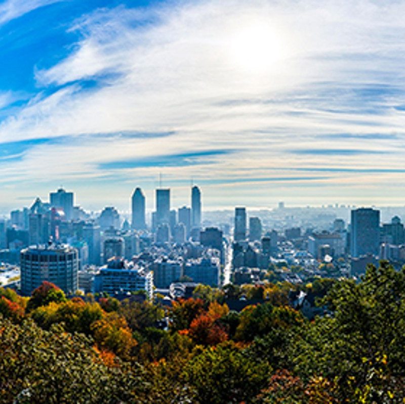 An urban panorama with forest in the foreground and cityscape in the background.